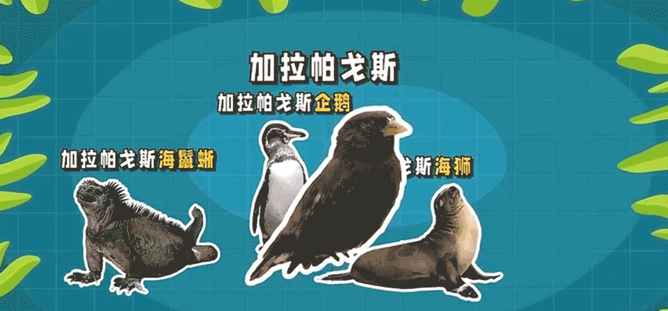 今年春节拿捏全国孩子的“绝招”被我找到了(图6)